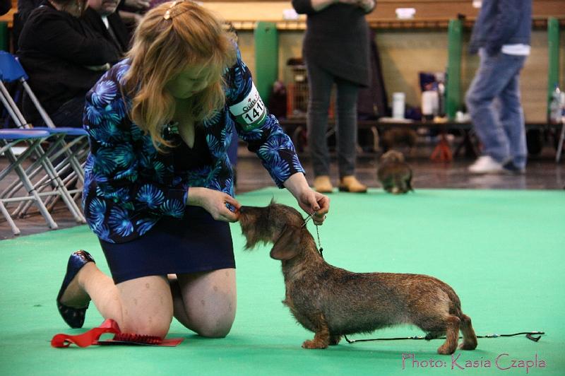 Crufts2011_2 1407.jpg